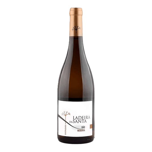Ladeira da Santa Reserva Encruzado
