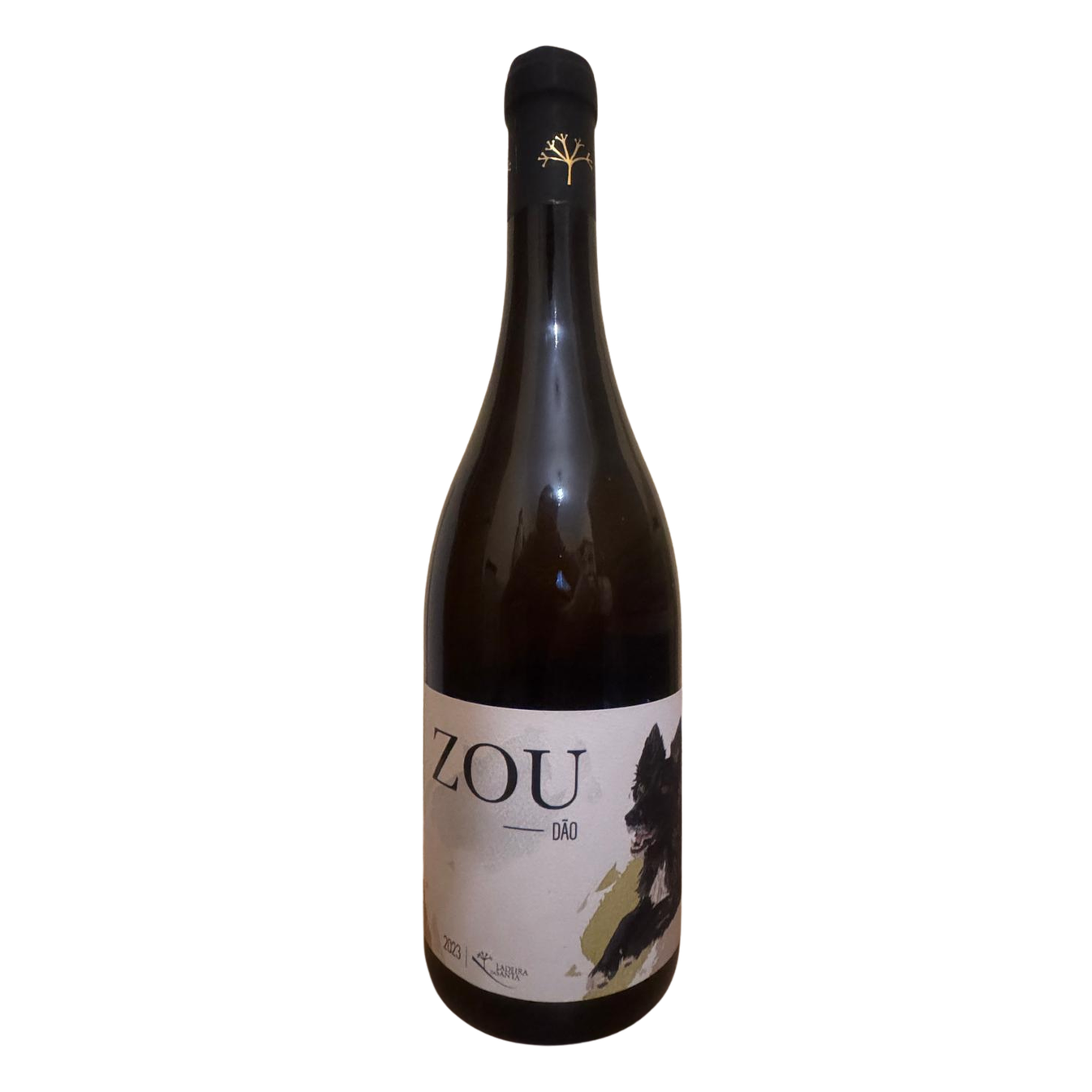 Zou